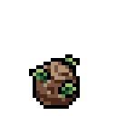 timber dragon egg